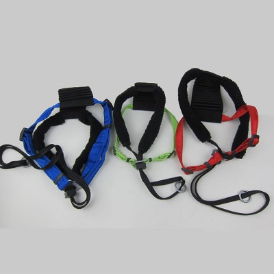 Highest Level Safe and Comfort Control dog harness Harness for Small dogs